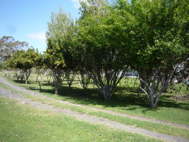 Blue House Vila Awanui Exterior foto
